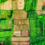 A stunning aerial shot showcasing diverse farmland patterns in West Java, Indonesia.